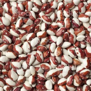 Non-Organic (Traditional) Anasazi Bean