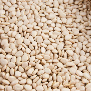Organic Baby Lima Beans